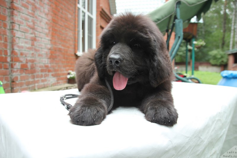 Фотография № 228049