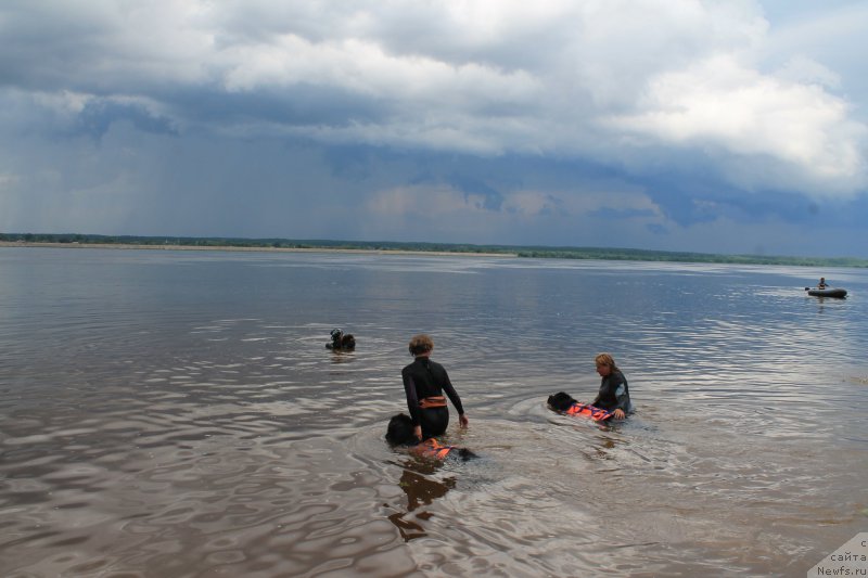 Фотография № 228054