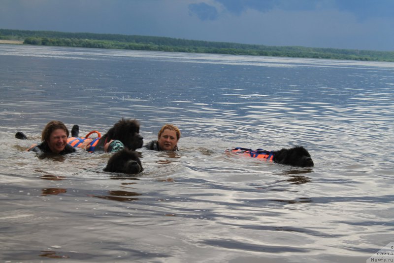 Фотография № 228055