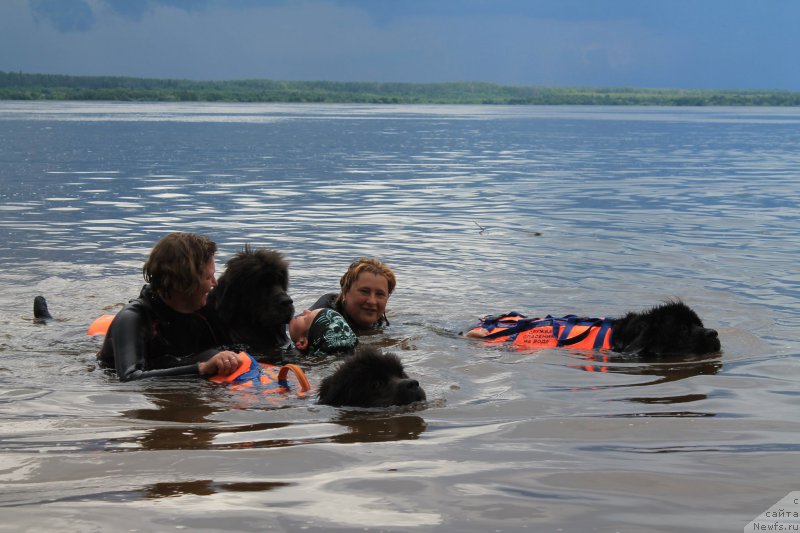 Фотография № 228056