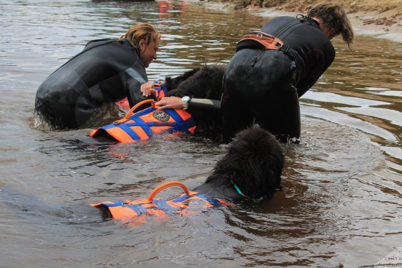 Фотография № 228057