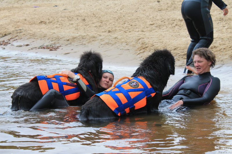 Фотография № 228058