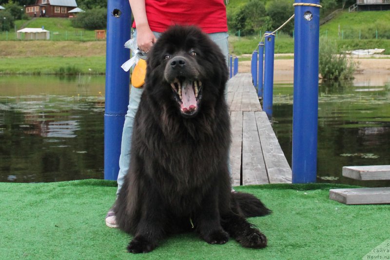 Фотография № 228066