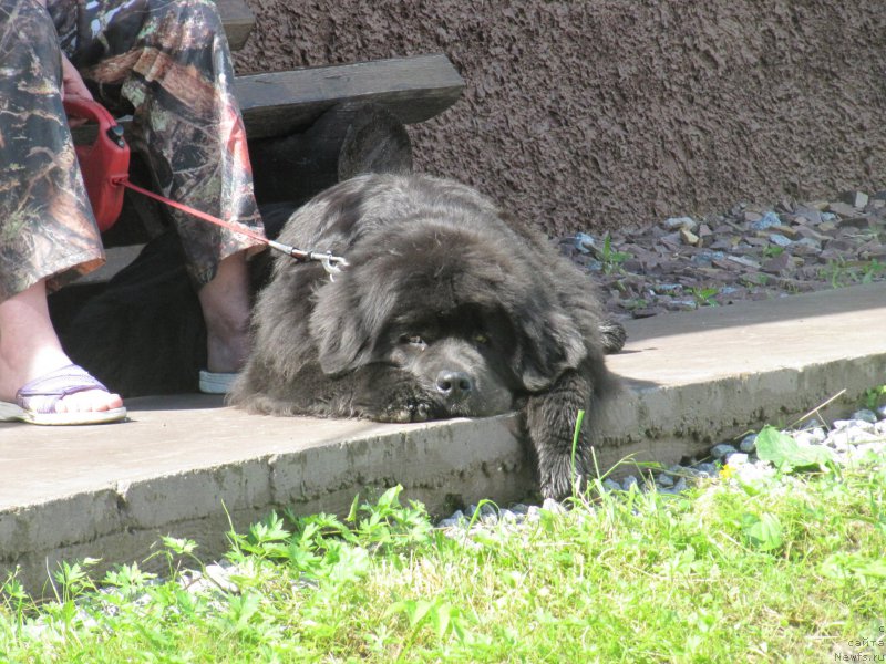 Фотография № 228081