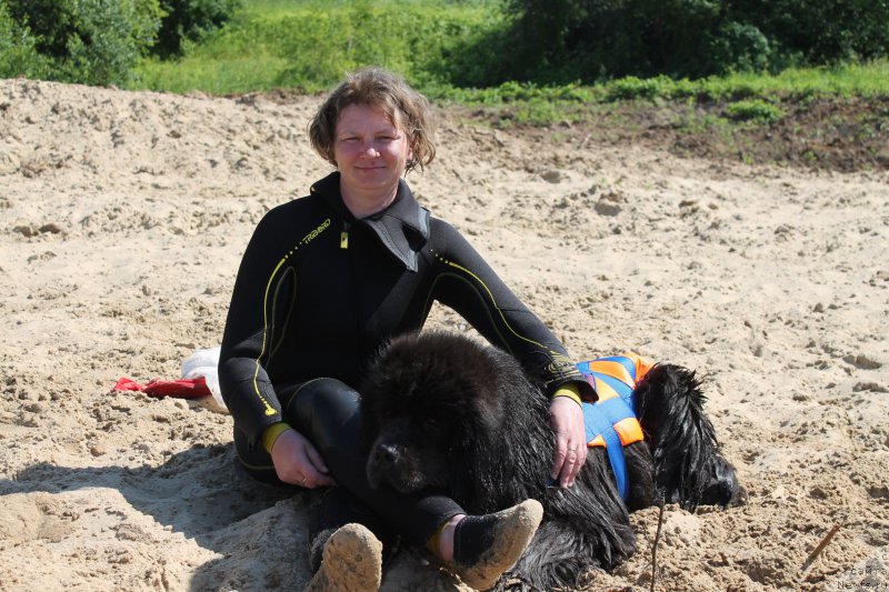 Фотография № 228083