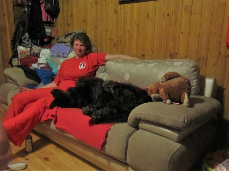 Фотография № 228086