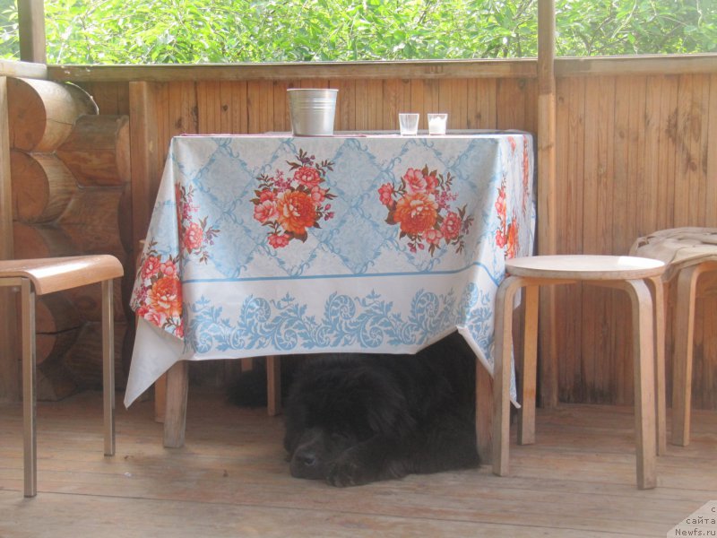 Фотография № 228088