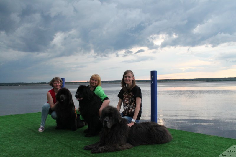 Фотография № 228090