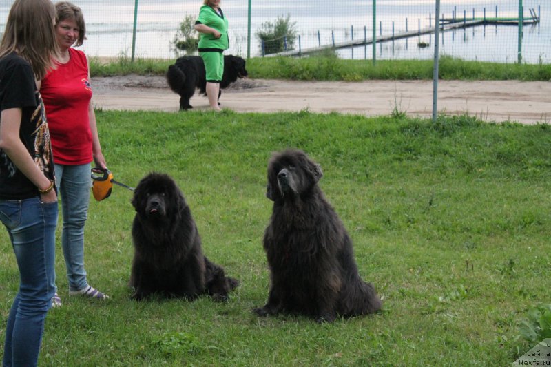 Фотография № 228091