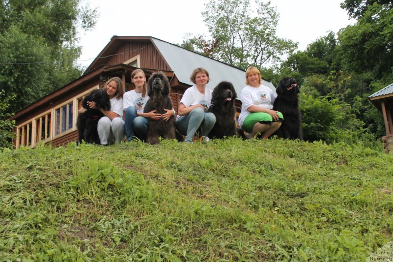 Фотография № 228092