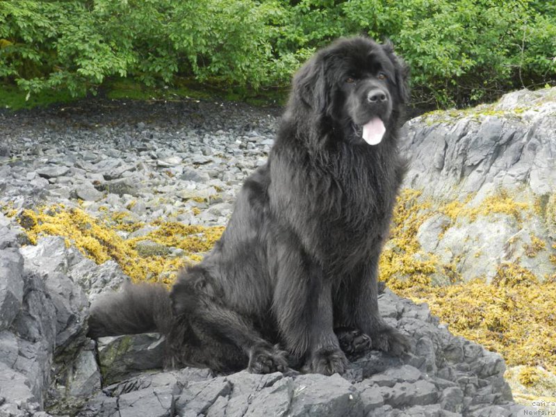 Фотография № 228100