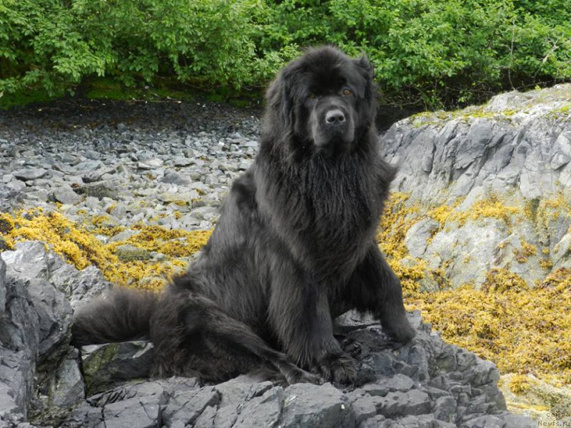 Фотография № 228104