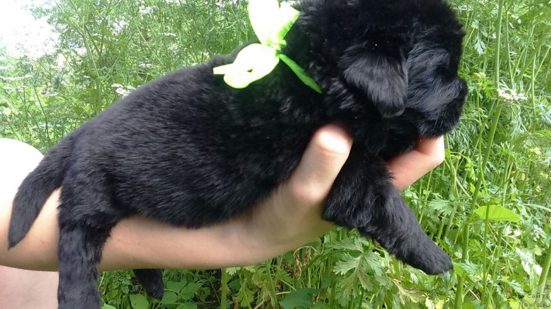 Фото: Людвиг Андреас фон Фейербах (Ludwig Andreas von Feuerbach)