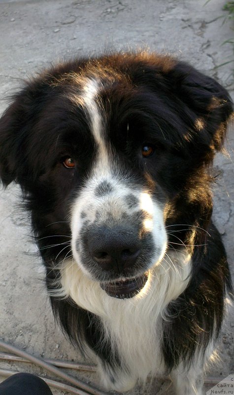 Фотография № 228167