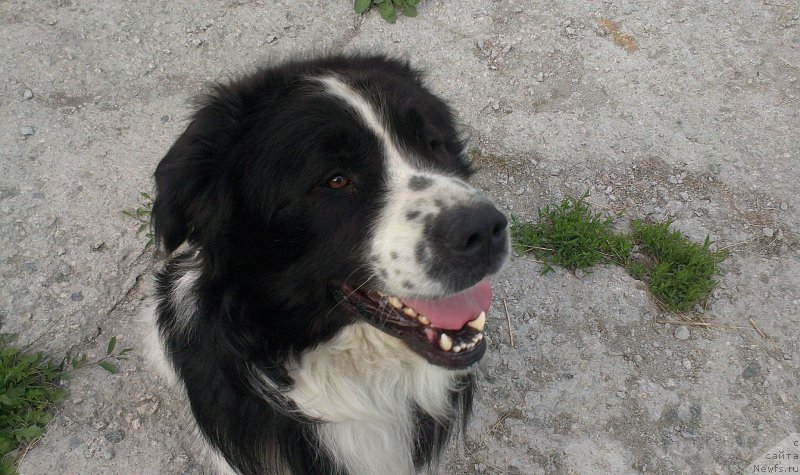 Фотография № 228168