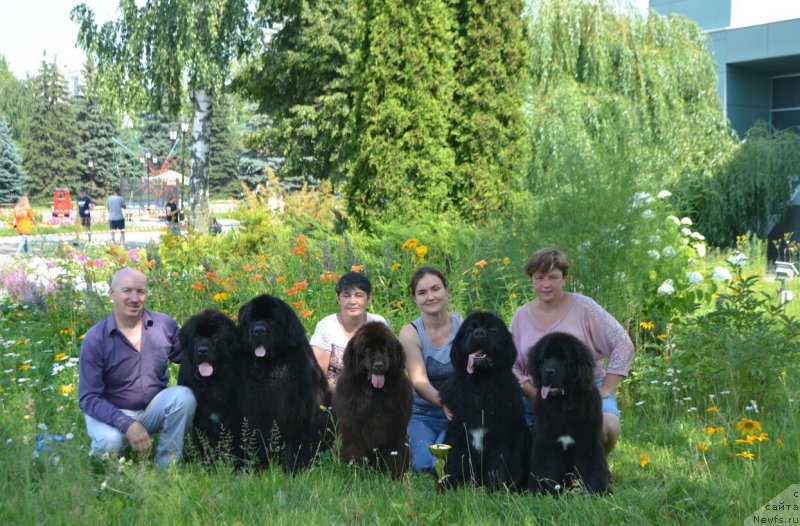 Фото: Алексей Вотчал, ньюфаундленд Сент Джонс Эксклюзив (Sent Djons Exclusive), ньюфаундленд Назар Вятский Медведь (Nazar Vyatskiy Medved), Галия Гизатуллина, ньюфаундленд Ньюфорт Вивиан, Ксения Новикова, ньюфаундленд Аквиан Сонг Лаватера (Akvian Song Lavatera)