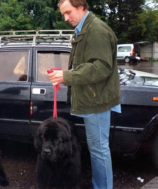 Фото: ньюфаундленд Берта (Berta), Алексей Заваруев