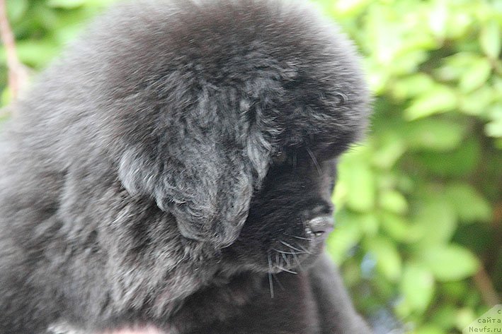 Фотография № 228185