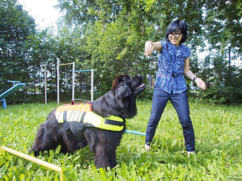 Фотография № 228192