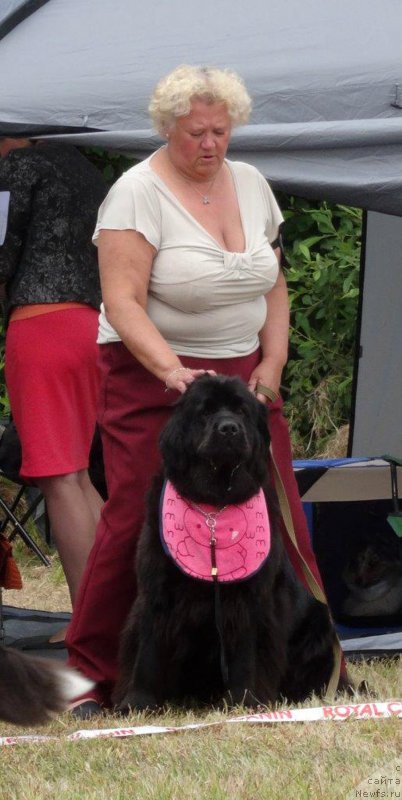 Фотография № 228196