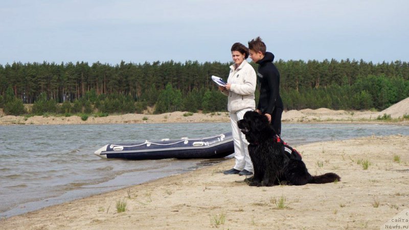 Фотография № 228201