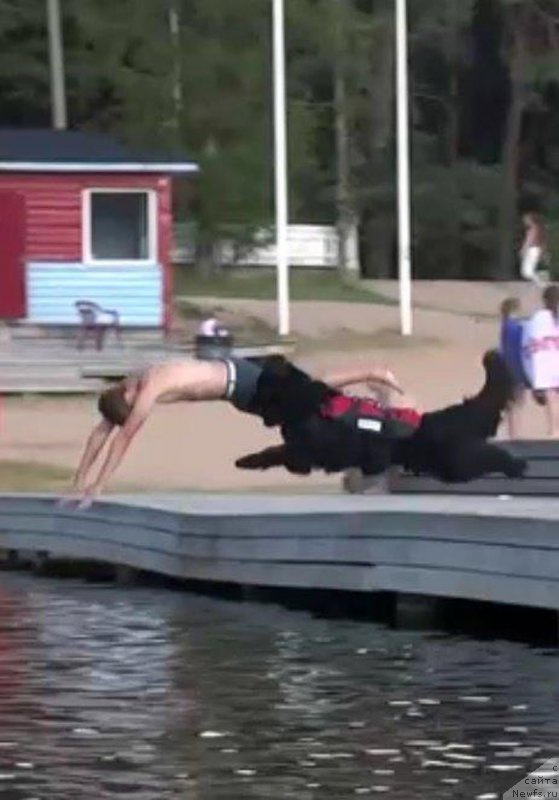 Фотография № 228202