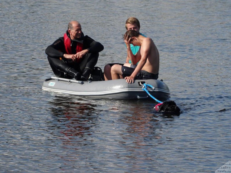 Фотография № 228203