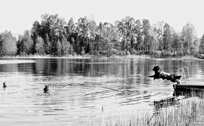 Фотография № 228205