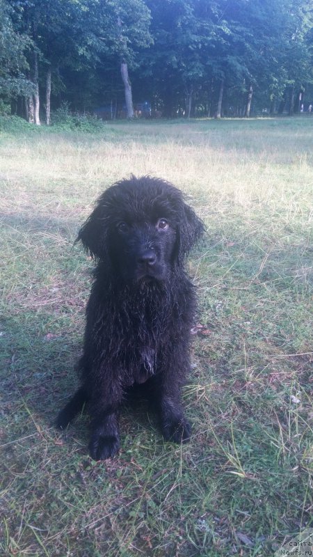 Фото: Андрей Головнев