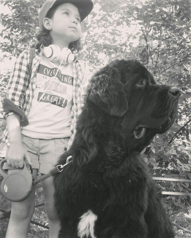 Фотография № 228209