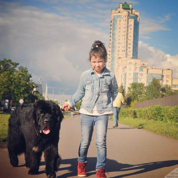 Фотография № 228210