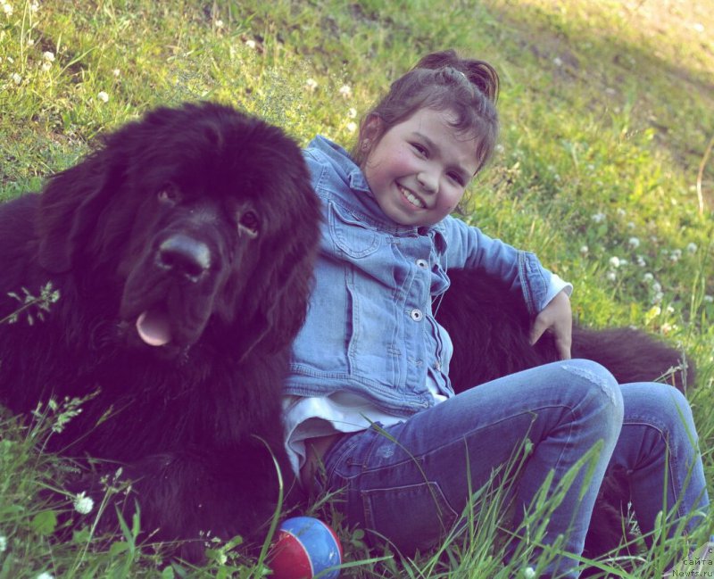 Фотография № 228211