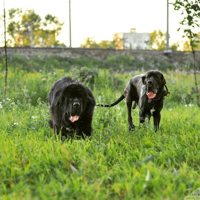 Фотография № 228212