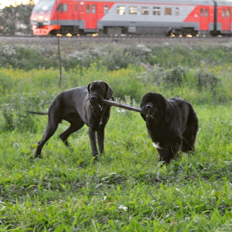 Фотография № 228213