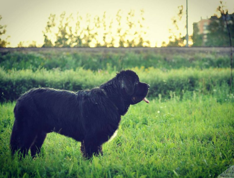 Фотография № 228214