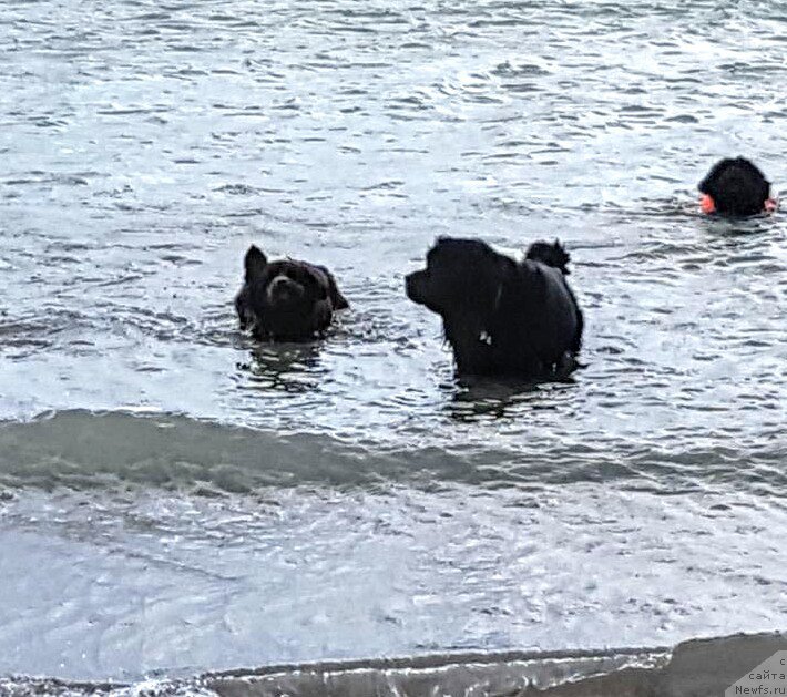 Фотография № 228216