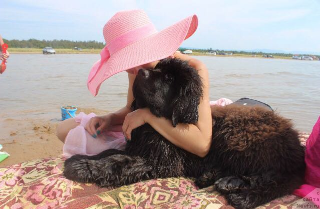 Фотография № 228225