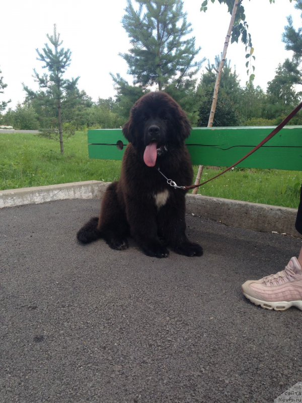 Фотография № 228226