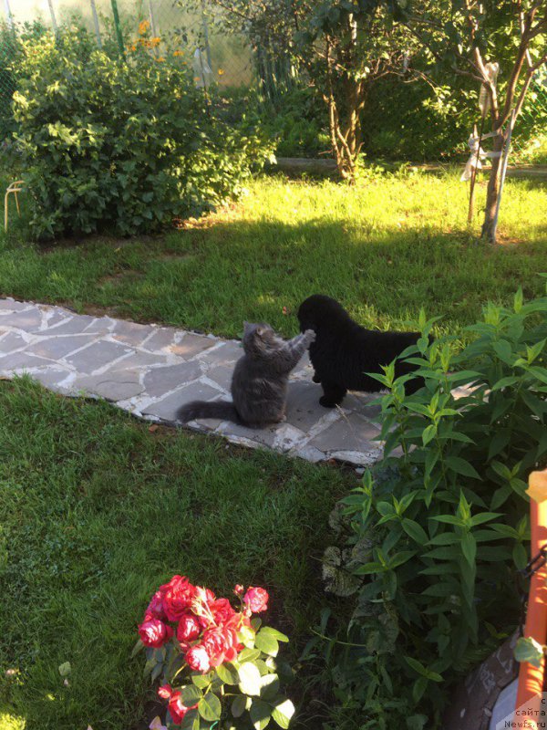 Фотография № 228234