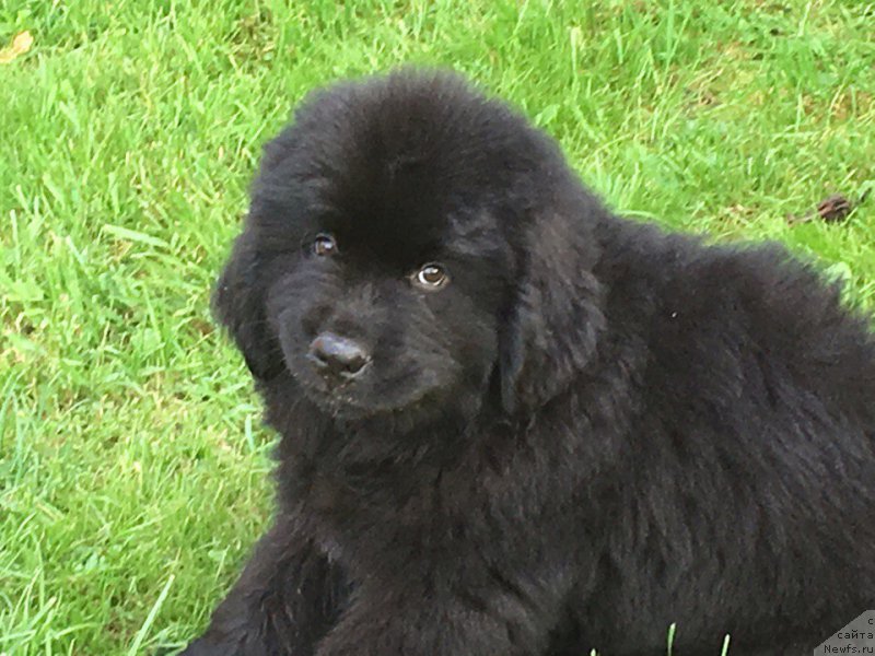 Фотография № 228236