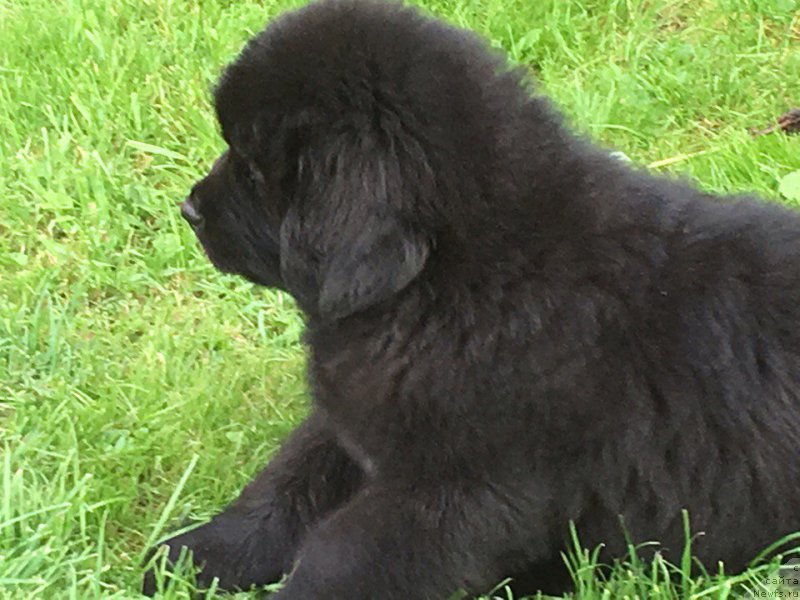 Фотография № 228237