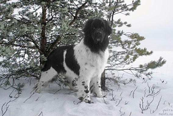 Фотография № 22824