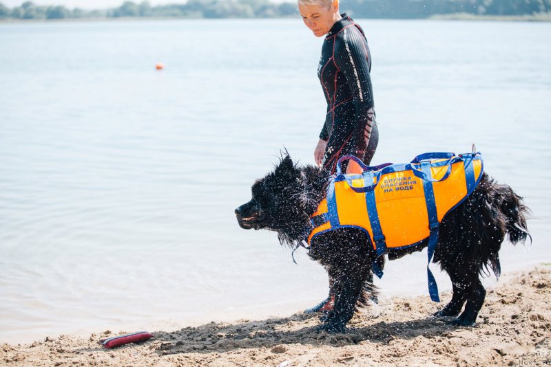 Фотография № 228247