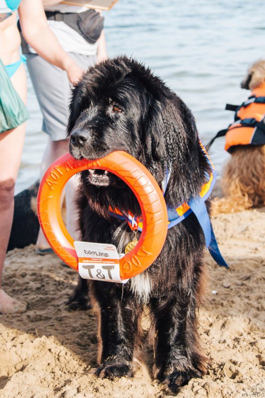 Фотография № 228251