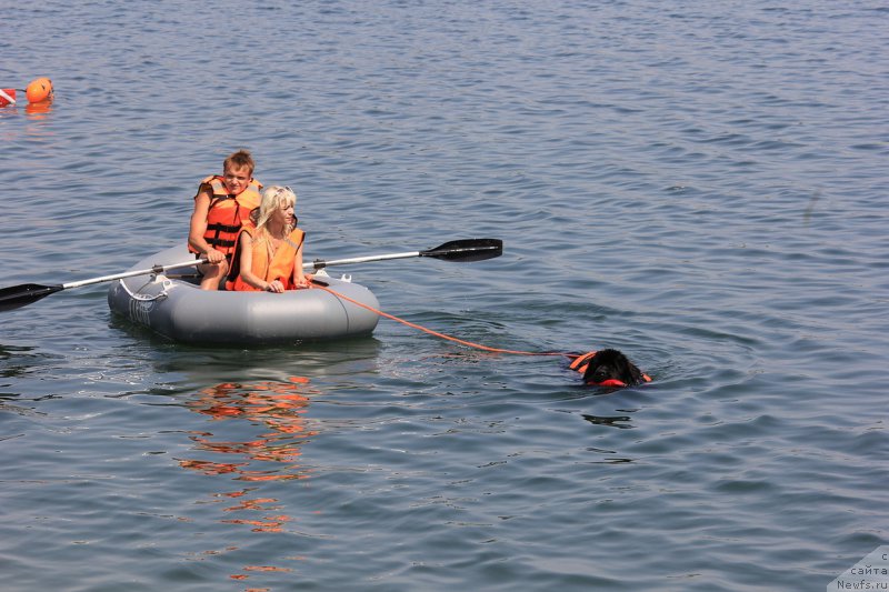 Фотография № 228262