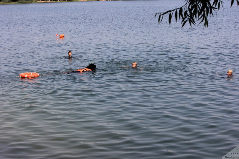 Фотография № 228265