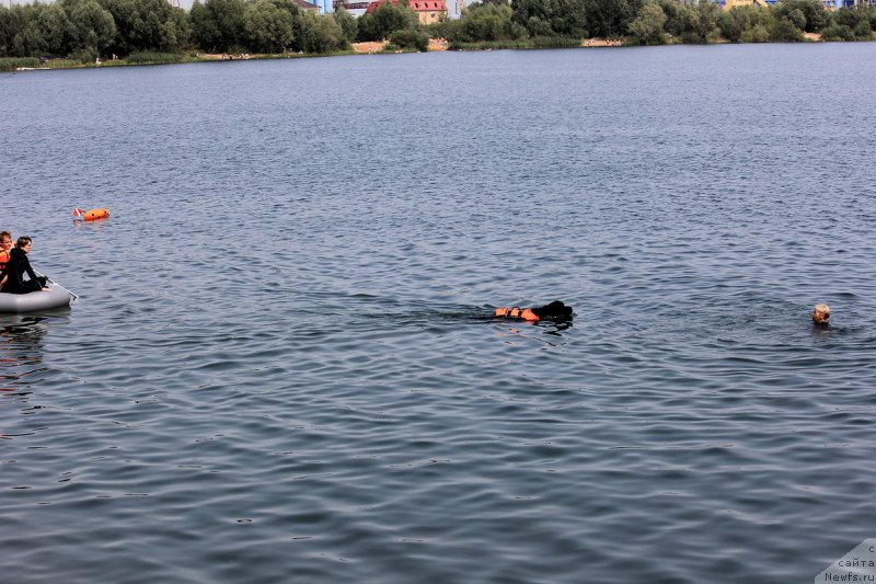 Фотография № 228268