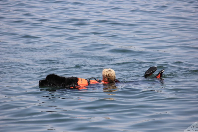 Фотография № 228269