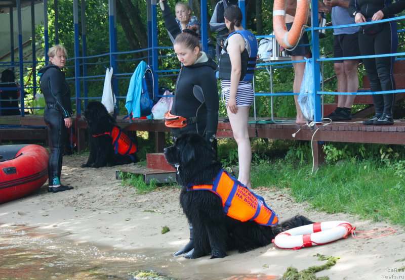 Фотография № 228273