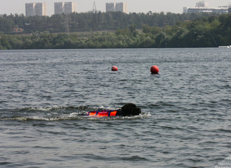 Фотография № 228275